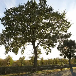 Lucerna Del Prile Alloggio per agriturismo